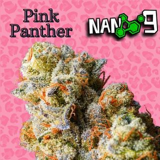 Cogollo de Flor Nano 9 x Pink Panther al 78% 1G