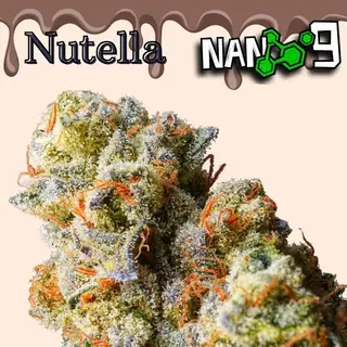 Cogollo de Flor Nano 9 x Nutella CBD al 64%- 1G