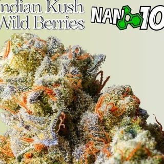 Cogollo de Flor Indian Kush Wild Berries x Nano 10 CBD al 55% 3G
