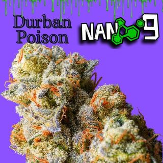 Cogollo de Flor Nano 9 x Durban Poison CBD al 75% 1G