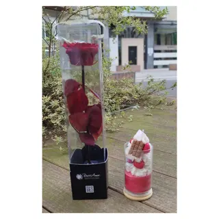 Rosa preservada + vela aromática