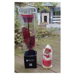 Rosa preservada + vela aromática