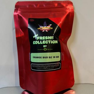 Orange Bud 10 Gr Bz
