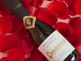 Cava Codorníu Benjamín – El toque perfecto para celebrar