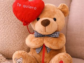 Teddy con Corazón