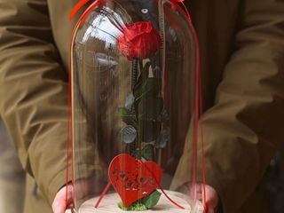 Rosa Eterna - Un Símbolo de Amor Inmortal
