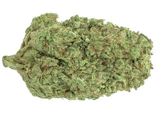 Northern Light Hidropónica CBD 2gr