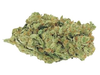 Amnesia Hidropónica CBD 5gr