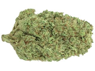 Northern Light Hidropónica CBD 5gr