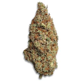 God Father OG CBD 2GR