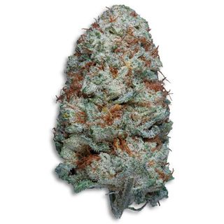 White Russian CBD 5GR