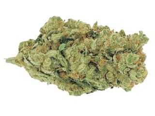 Amnesia Hidropónica CBD 5gr