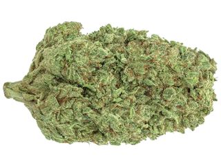 Northern Light Hidropónica CBD 5gr