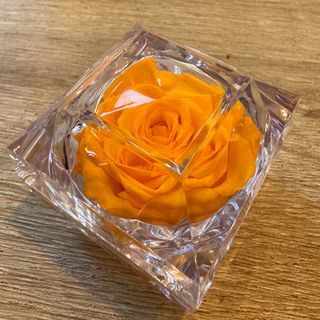 Botón de Rosa amarilla peq