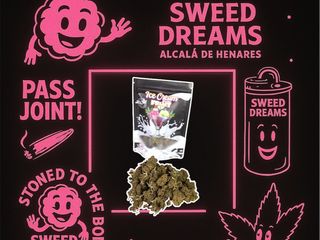 Ice cream fruit 1 Gr