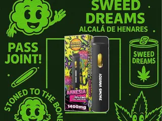 Desechable CBD 70 % 2 ML