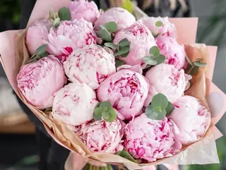 Ramo de 15 Peonias
