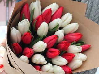 Ramo de 20 tulipanes - Blanco y Rojo