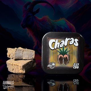 2Gr Hash Charas CBD