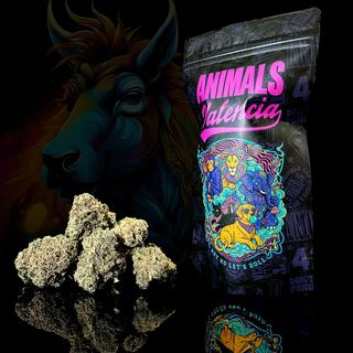 50Gr MiniFlores Gold Zkittlez CBD