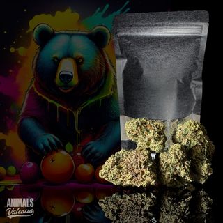 10Gr MiniFlores Citrus Bloom GreenHouse CBD