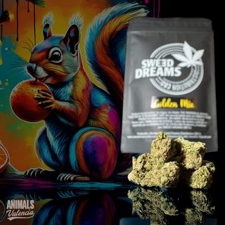 10Gr MiniFlores Orange Haze GreenHouse CBD