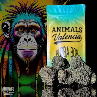 2Gr Bubba Bob GreenHouse CBD