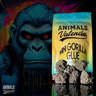 10Gr MiniFlores Fruit Cake GreenHouse Cbd