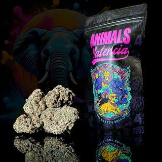 50Gr MiniFlores Gold Tutti Frutti CBD