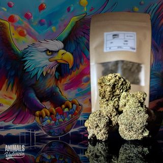 2Gr Candy GreenHouse CBD