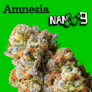 Amnesia 60% NANO9 3Gr