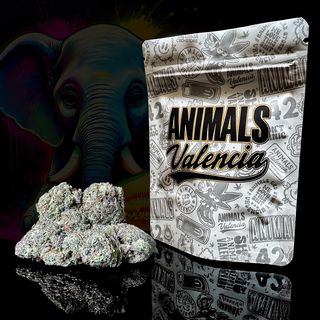 5Gr White Melon Indoor CBD