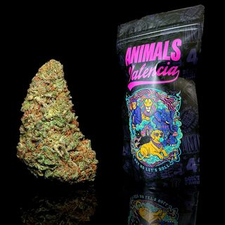 5Gr Lemon Trip GlassHouse CBD