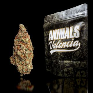 5Gr God Father Hidropónica "Black Label" CBD