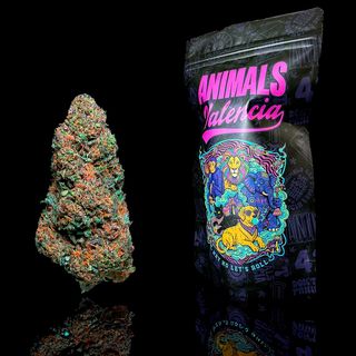 20Gr Berry Pie GlassHouse CBD