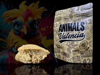 5Gr Hash Fruit Joy CBD