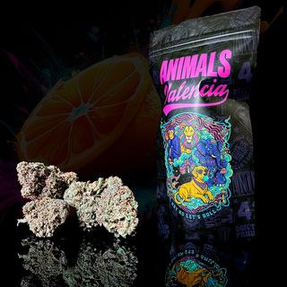 20Gr Cali Orange GreenHouse CBD