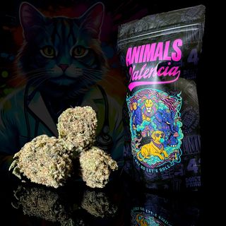 50Gr MiniFlores Northern Lights GreenHouse PREMIUM CBD