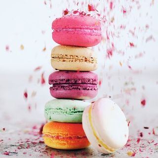 Galleta macarons surtidor