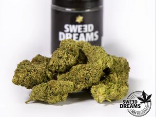 Zkittlez Hidroponica 2,5Gr