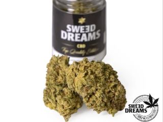 Northern Light Hidroponica 2,5Gr