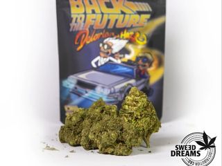 Alien Delorean Haze 2Gr