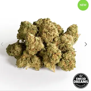 Watermelon Zkittlez 1Gr Small Buds