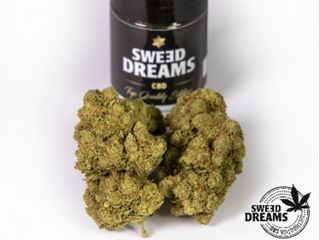 Amnesia Hidroponica 2,5Gr