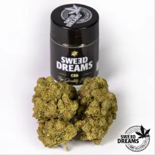 Amnesia Hidroponica 5Gr