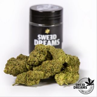 Zkittlez Hidroponica 5Gr