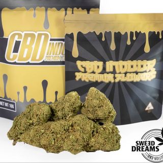 Mimosa Indoor Premium 5Gr