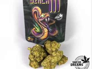 Black M Amnesia