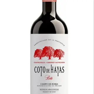 Vino tinto DO Campo de Borja