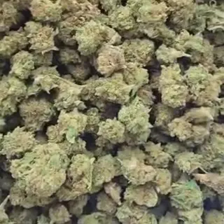 Orange Kush GH 5G